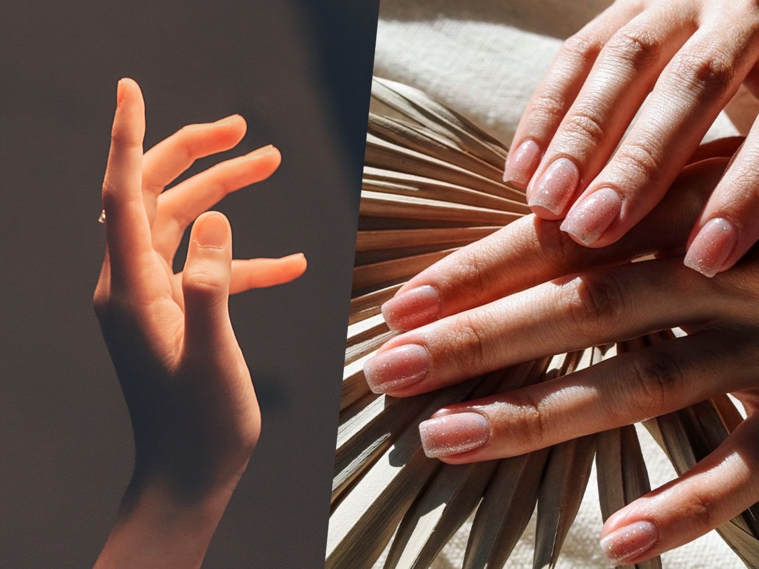 hand model