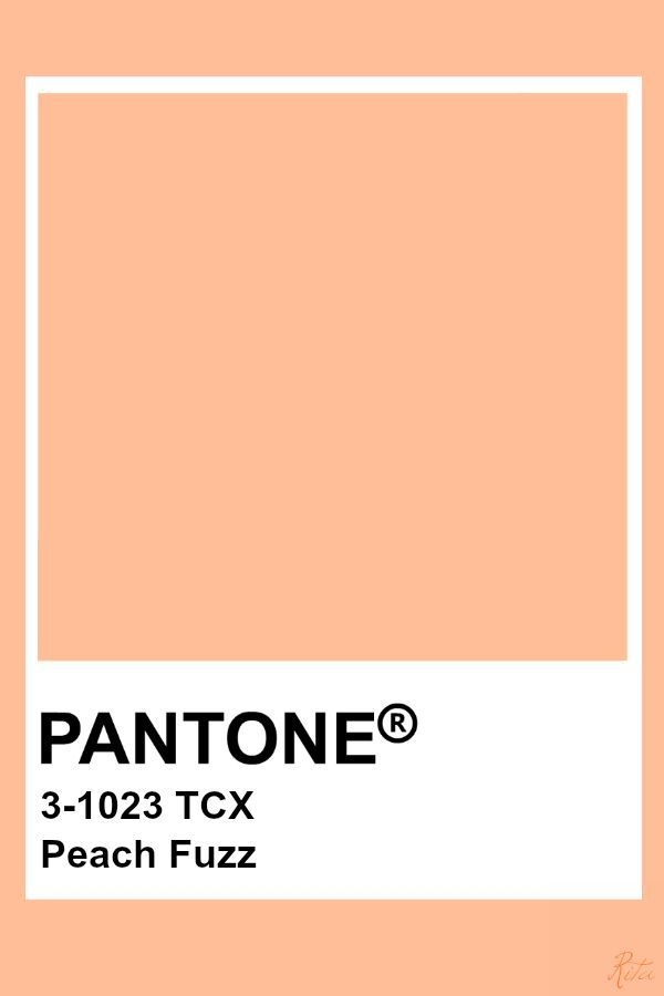 PANTONE of 2024 Peach Fuzz