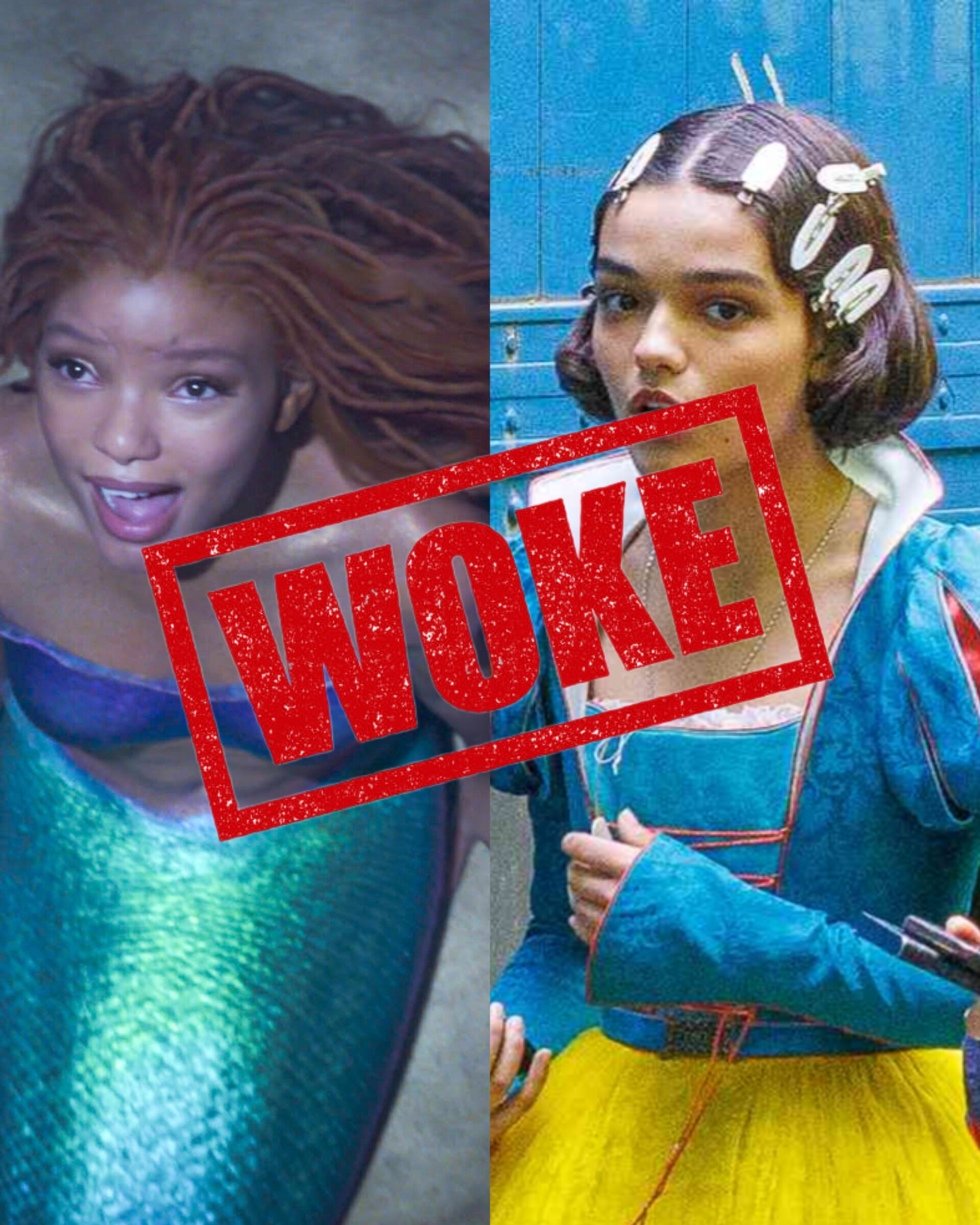 Disney and WOKE Issue