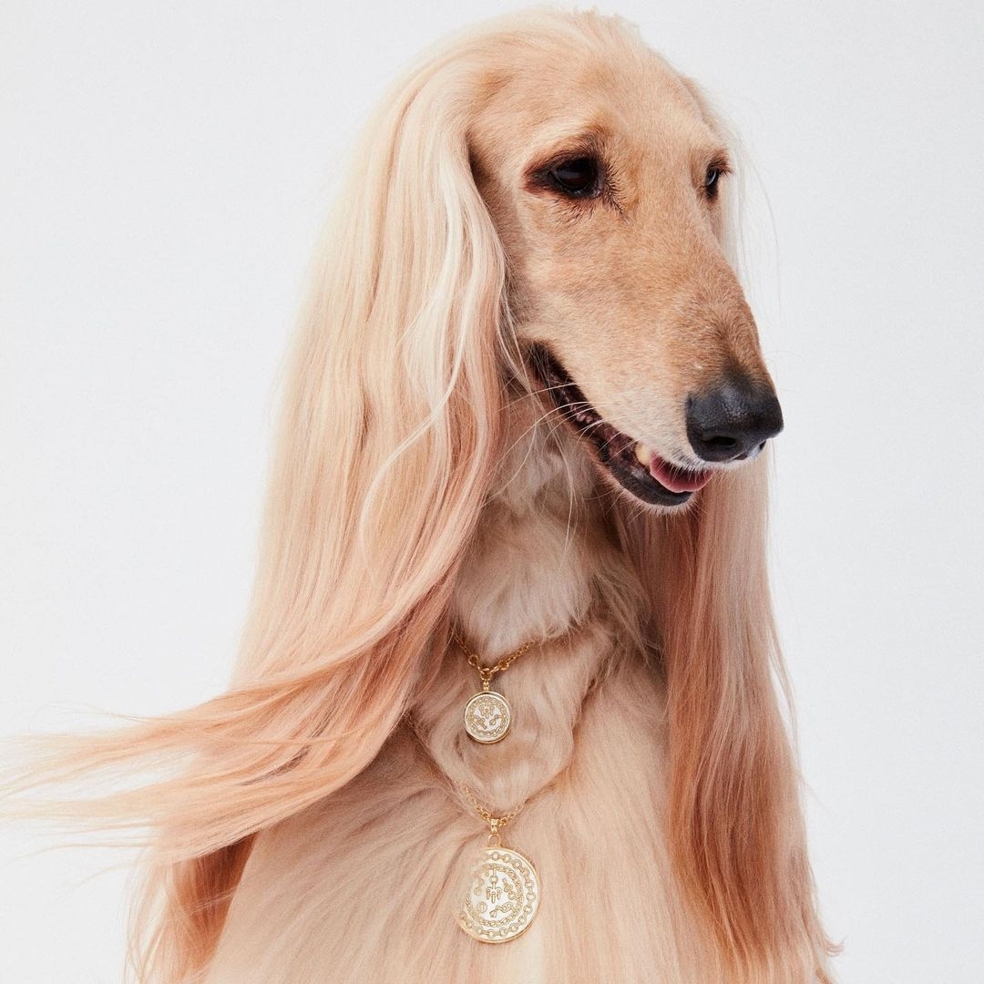 Hermès, Hermès คือ, Hermès ประวัติ, Hermès กระเป๋า, Hermès ราคา, Hermès ในไทย, Hermès Birkin, Hermès Kelly